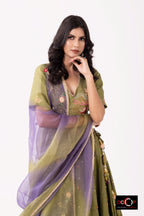 Sage Green Dabka Nalki Lehriya Lehenga Set